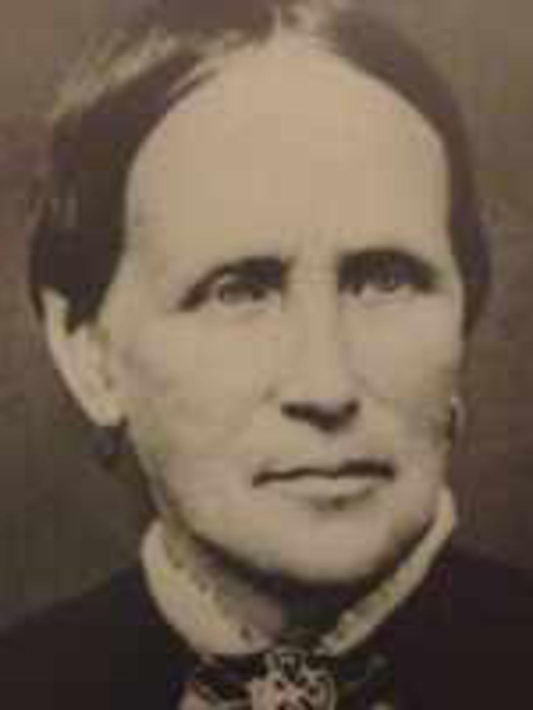 Anne Steele (1829 - 1909) Profile